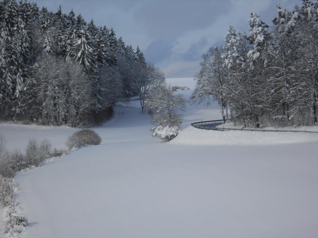 Отель Landgasthof Schutzen Тенген Экстерьер фото